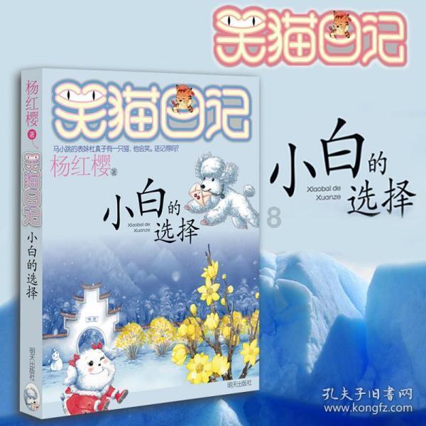 健美大赛